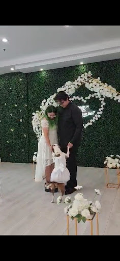 Photo from customer review